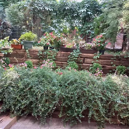 Sadul Apartment