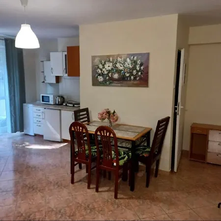 Sadul Apartment